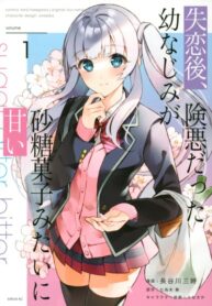 Cover 37341