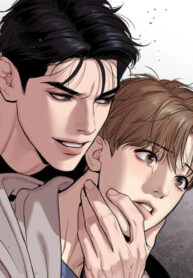 Cover 37457