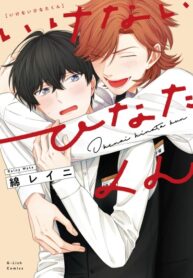 Cover 37461
