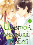 Cover 37681