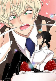 Cover 37685
