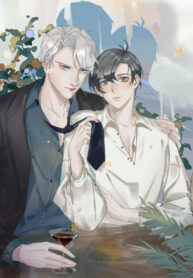 Cover 37687