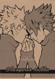 Cover 37713