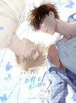 Cover 37909