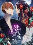 Cover 37951