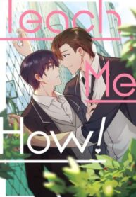 Cover 37997