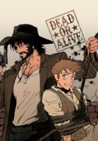 Cover 38029