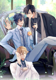 Cover 38033