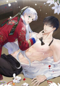 Cover 38035