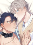 Cover 38043