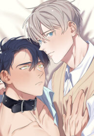 Cover 38043