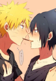 Cover 38081