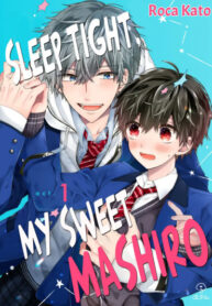 Cover 38085