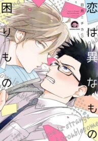 Cover 38195