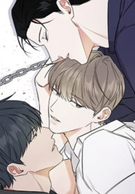 Cover 38238
