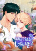 Cover 38251