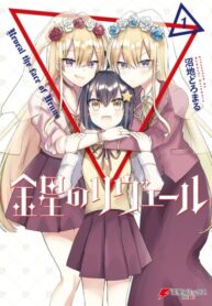 Cover 38505