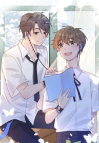 Cover 38530