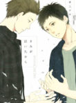 Cover 38534
