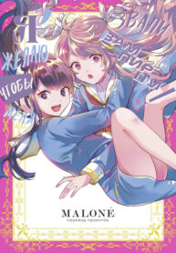 Cover 38550