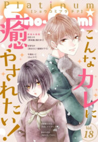 Cover 38640