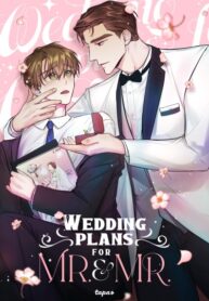 Cover 38698