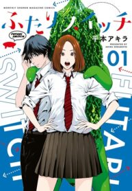 Cover 38736
