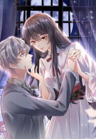 Cover 38776
