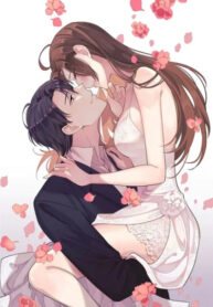 Cover 38831