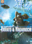 Cover 38866