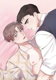 Cover 38879