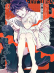 Cover 38955