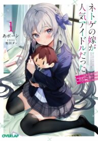 Cover 38966