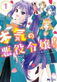 Cover 38990