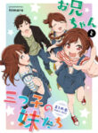 Cover 39012
