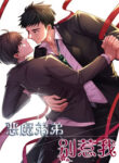 Cover 39075