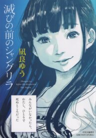 Cover 39090