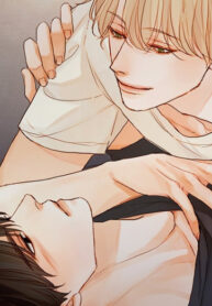 Cover 39144