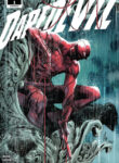 Cover 39209