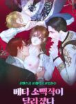 Cover 39308