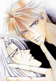 Cover 39377