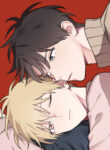Cover 39379
