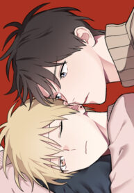 Cover 39379