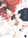 Cover 39416