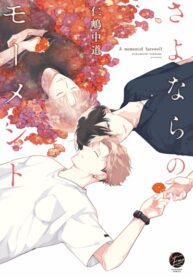 Cover 39416