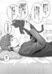 Cover 39455