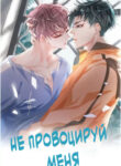 Cover 39505