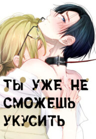 Cover 39511