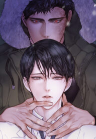 Cover 39513
