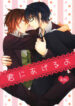 Cover 39631